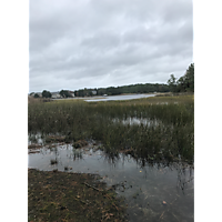 Kingtide Troop 824 image